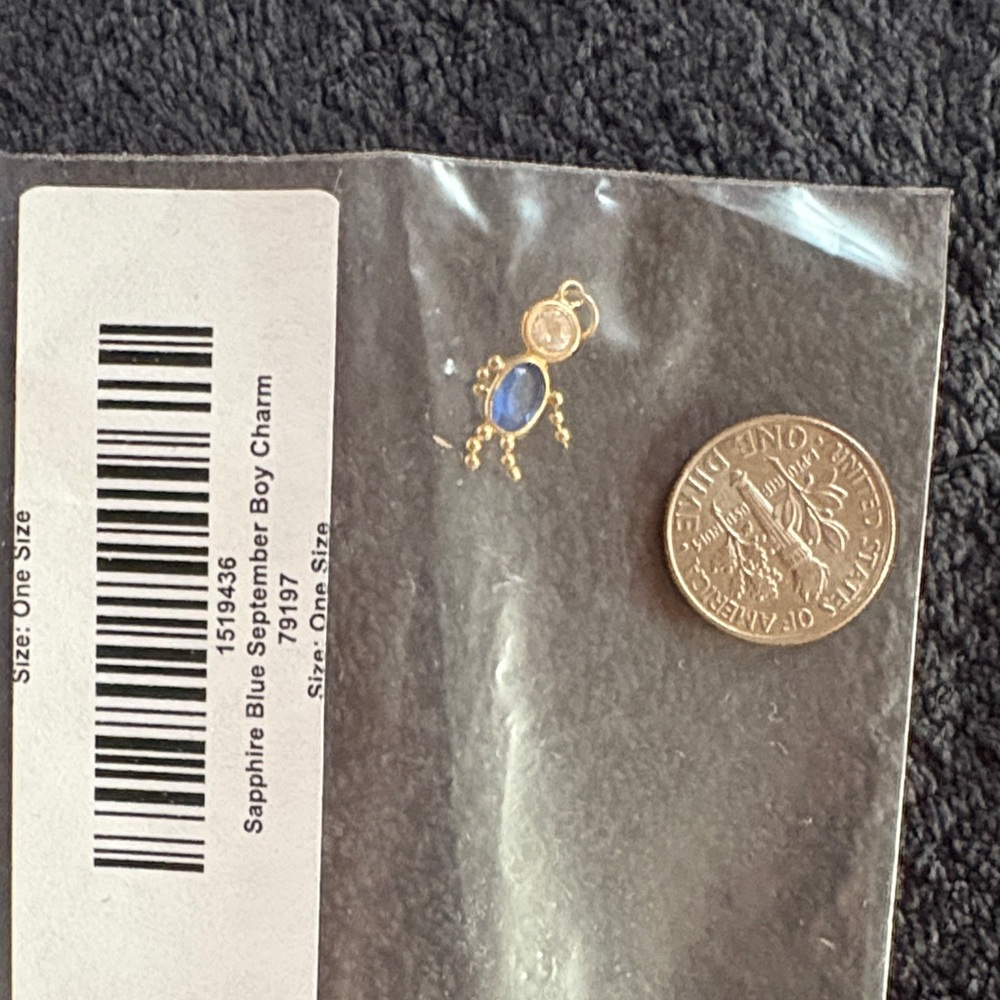 Gold and Blue Charm